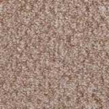 Pecan Sweet Home mid