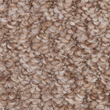 Pecan Sweet Home close