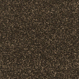 Tamarind Apollo Plus Carpet by Cormar