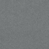 Tarn Mist 50oz Home Counties Carpet by Cormar