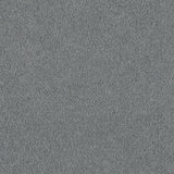 Tarn Mist 50oz Home Counties Carpet by Cormar