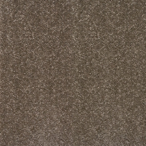 Taupe Grey 870