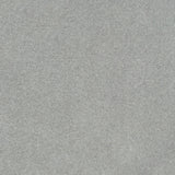 Taupe 49 Hermes iSense Carpet