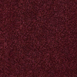 Mulberry 11 Temptation Carpet