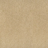 Temple 33 Pegasus 70oz Heathers Invictus Carpet