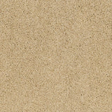 Temple 33 Pegasus 70oz Heathers Invictus Carpet