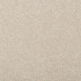 Tempting Taupe Apollo Plus Carpet - mid