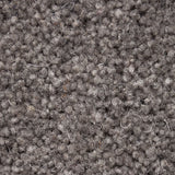 Thunder 50oz Home Counties Heathers Carpet by Cormar
