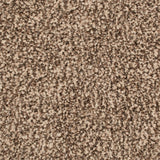 Timberwolf 93 Inspire Saxony Carpet