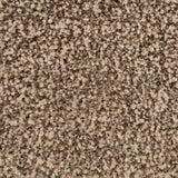Timberwolf 93 Inspire Saxony Carpet