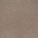 Toasted Almond Apollo Plus Carpet by Cormar