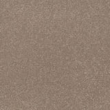 Toasted Almond Apollo Plus Carpet by Cormar