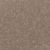 Toasted Almond Apollo Plus Carpet by Cormar