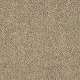 Travertine Woodland Heather 55oz Twist Deluxe Carpet by Cormar