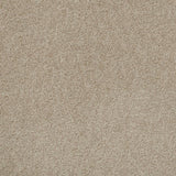 Wicker 36 Tuftex Twist Actionback Carpet