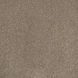 Tuscan Earth 730 Soft Noble Actionback Carpet