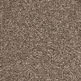 Tuscan Earth 730 Soft Noble Actionback Carpet