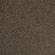 Chocolate Brown Urban Legend Action Backed Saxony Carpet