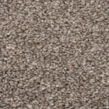 Mink Vision Luxury Saxony Actionback Carpet