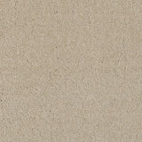 Biscuit 72 Vogue Intenza Carpet