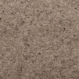 Vole Natural Berber Twist Deluxe 55oz Carpet by Cormar