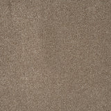Warm Beige Indiana Saxony Carpet