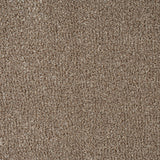 Warm Beige Indiana Saxony Carpet
