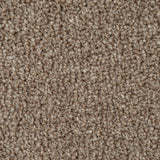 Warm Beige Indiana Saxony Carpet