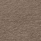 Warm Ground 725 Sarafina Carpet