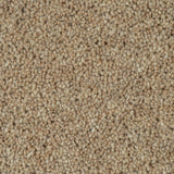 Yardley Stone Woodland Heather 55oz Twist Deluxe Carpet by Cormar
