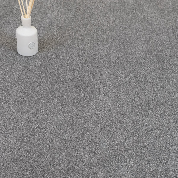 Ash Coast Twist Carpet Clearance