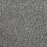 Dolphin Grey