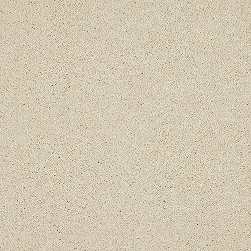 Candlelight Velvet Dreams Love Story Carpet by Abingdon