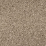 Cashmere Velvet Dreams Love Story Carpet by Abingdon