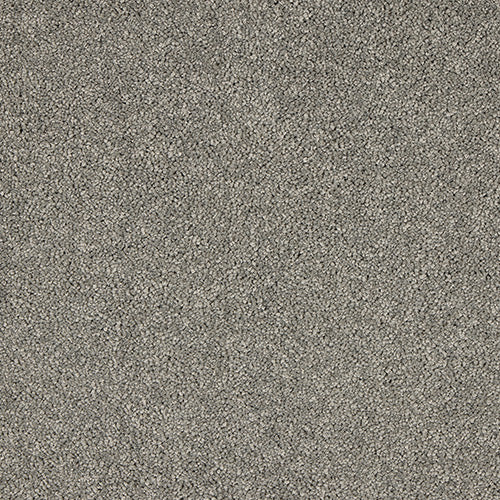 Charleston Velvet Dreams Love Story Carpet by Abingdon