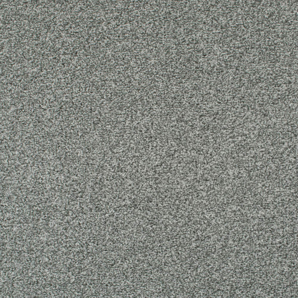 Chic Shadow 91 Tuftex Twist Carpet Clearance 2.5m x 5m Remnant