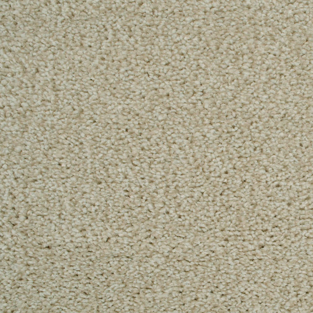 Cotton 69 Revolution Soft Heathers Intenza Carpet 4.8m x 5m Remnant