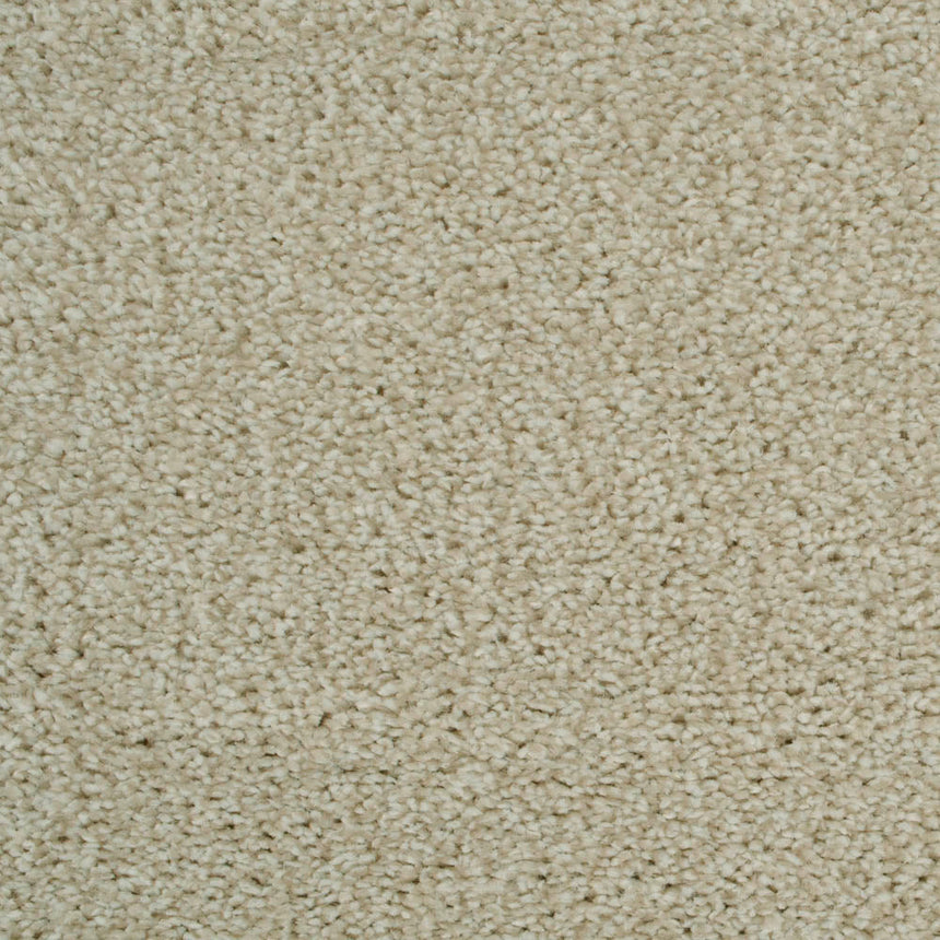 Cotton 69 Revolution Soft Heathers Intenza Carpet 4.8m x 5m Remnant