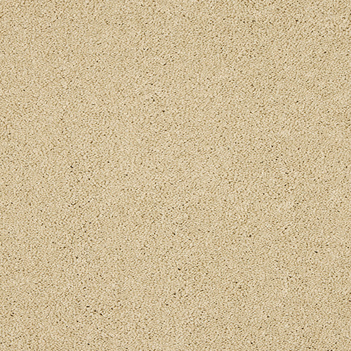 Double Cream Velvet Dreams Love Story Carpet by Abingdon