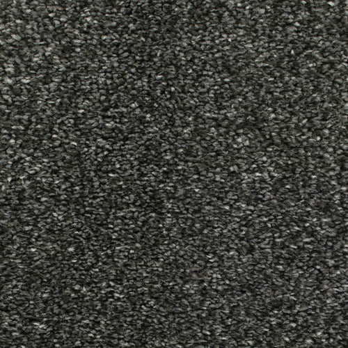Ebony 276 Revolution Soft Heathers Intenza Carpet 4.2m x 5m Remnant