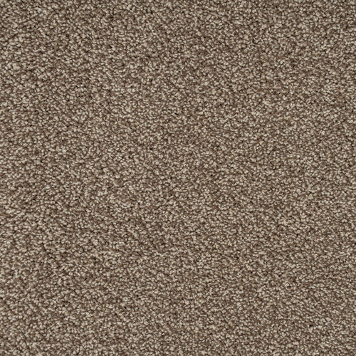 Light Brown 90 Emotion Classic Intenza Carpet 4.05m x 5m Remnant