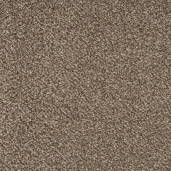 Light Brown 90 Emotion Classic Intenza Carpet 4.05m x 5m Remnant
