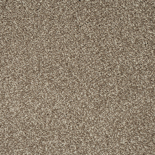 Light Brown 90 Emotion Elite Intenza Carpet 4.03m x 5m Remnant