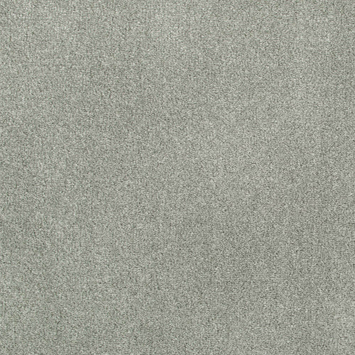 Light Grey 273 Oxford Saxony Carpet 4.05m x 5m Remnant
