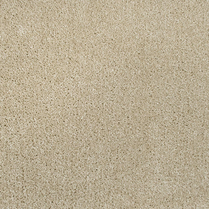 Bellaire Carpet Buy Bellaire Carpet Online Onlinecarpets.co.uk
