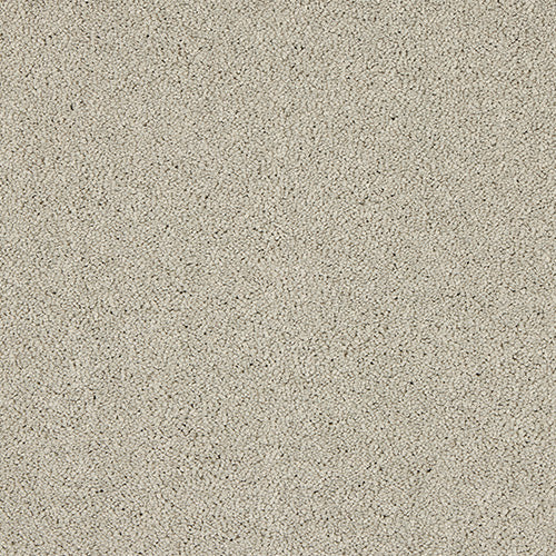 Velvet Dreams Love Story Carpet by Abingdon