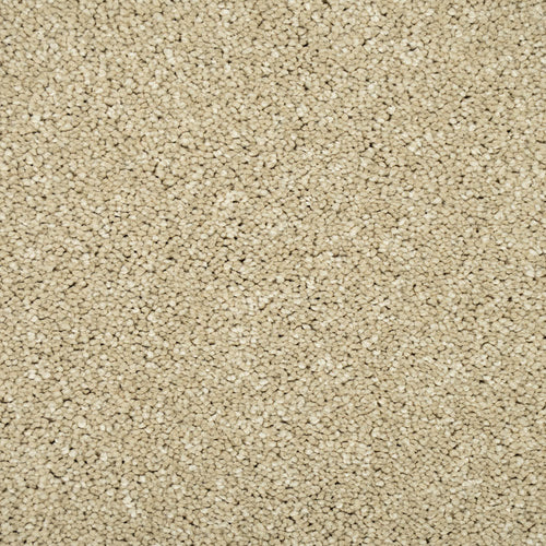 Monterey Sand Sensation Original 60oz Carpet by Cormar 4.2m x 5m Remnant