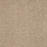 Mouseback Velvet Dreams Love Story Carpet by Abingdon