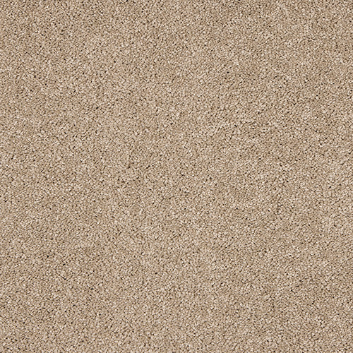 Mouseback Velvet Dreams Love Story Carpet by Abingdon