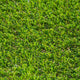 Oscroft 37mm Artificial Grass